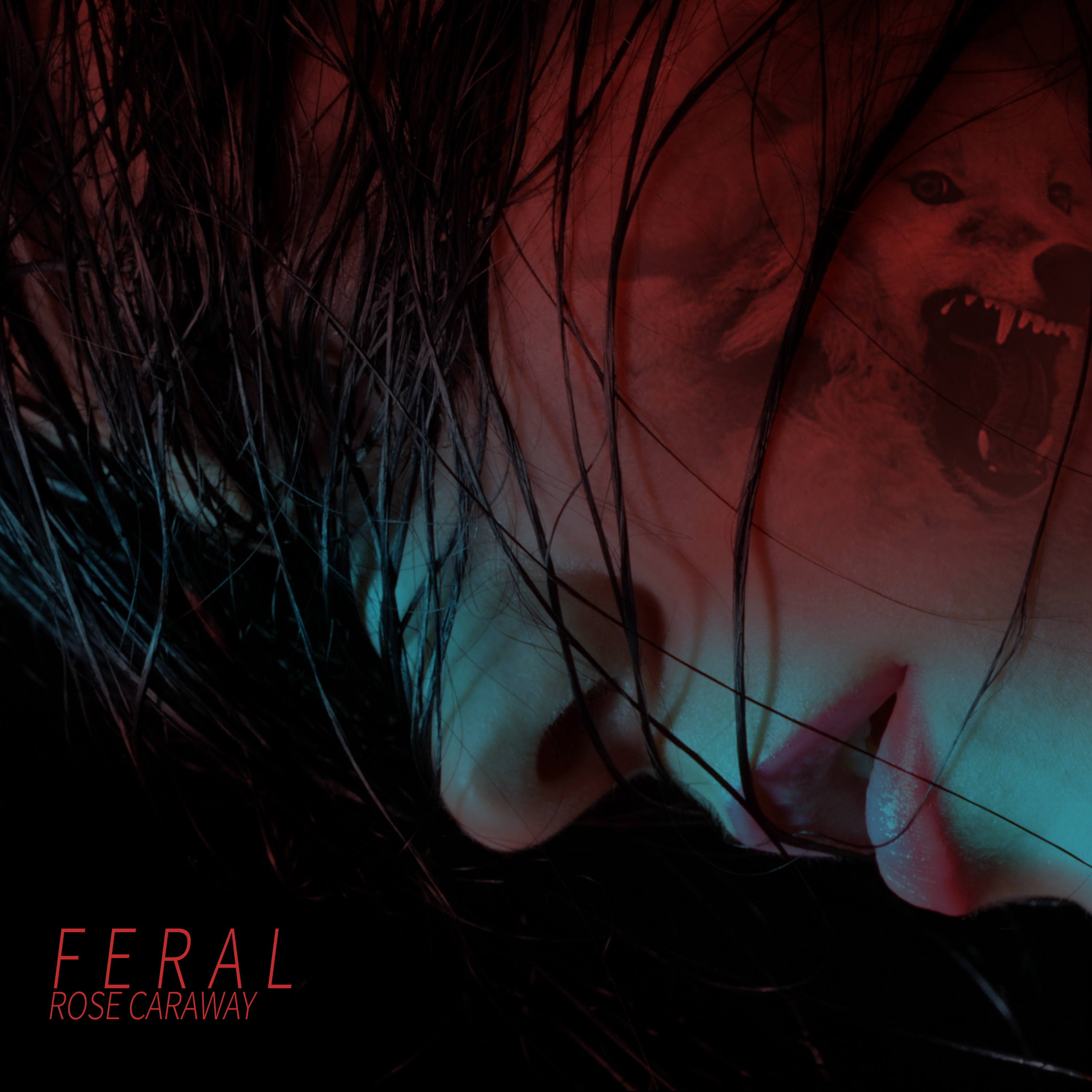 Feral by Rose Caraway