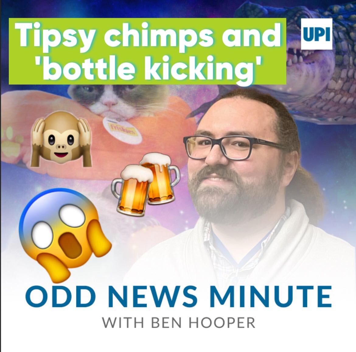 Boozy chimps, 'bottle kicking' contest