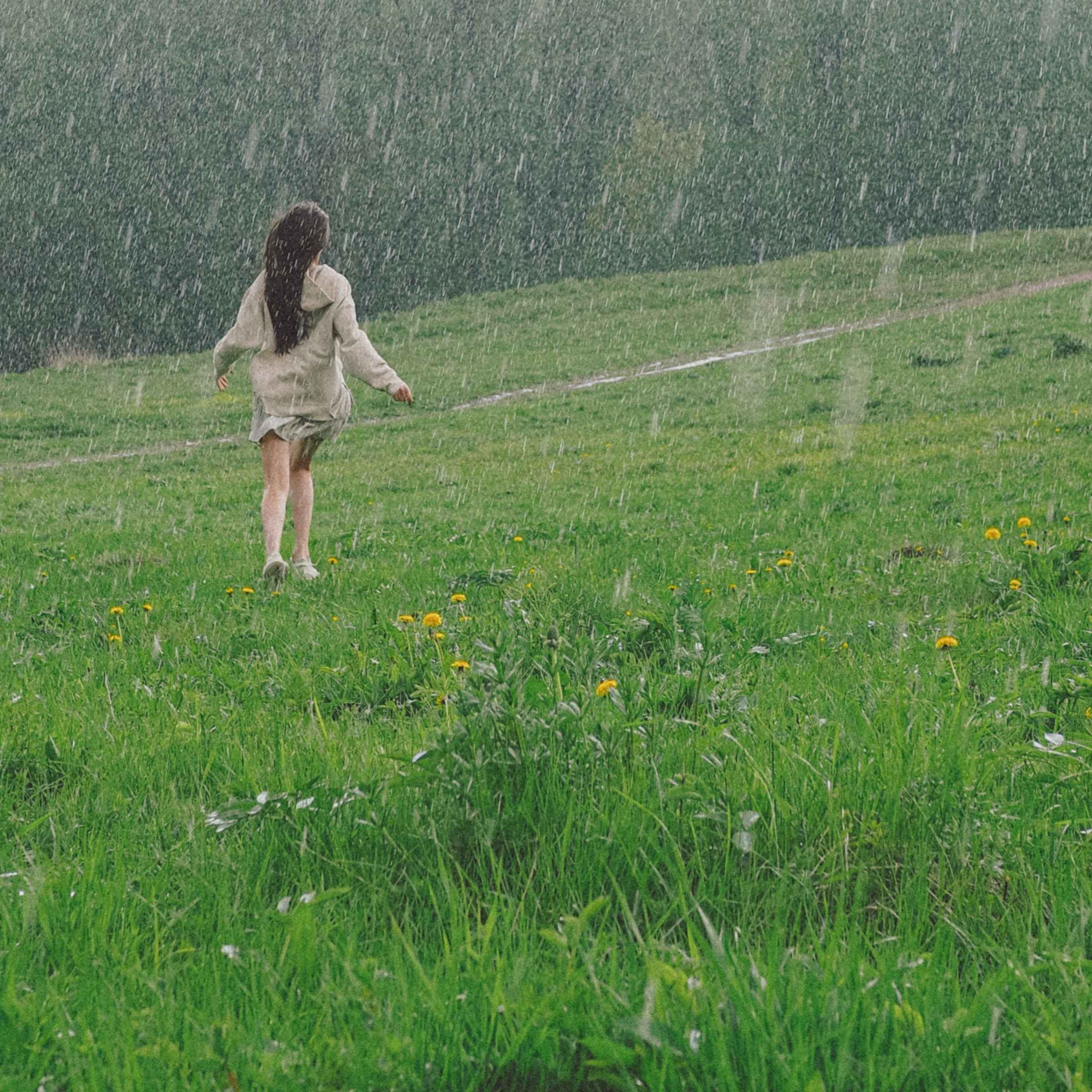 8Hours of Light Rain Sounds for Deep Sleep, Meditation, Spa, Cure Insomnia