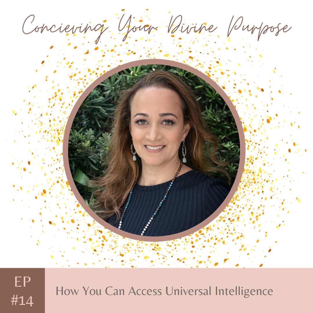 EP14 How You Can Access Universal Intelligence