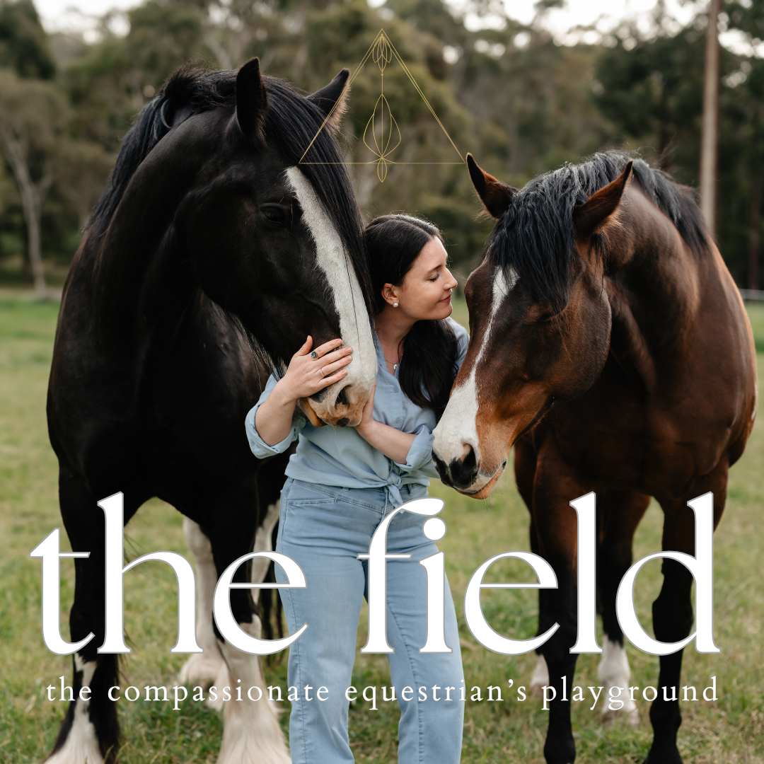 S2 | 23. The Field Tour: The Ultimate Compassionate Horsewomanship & Personal Growth Experience
