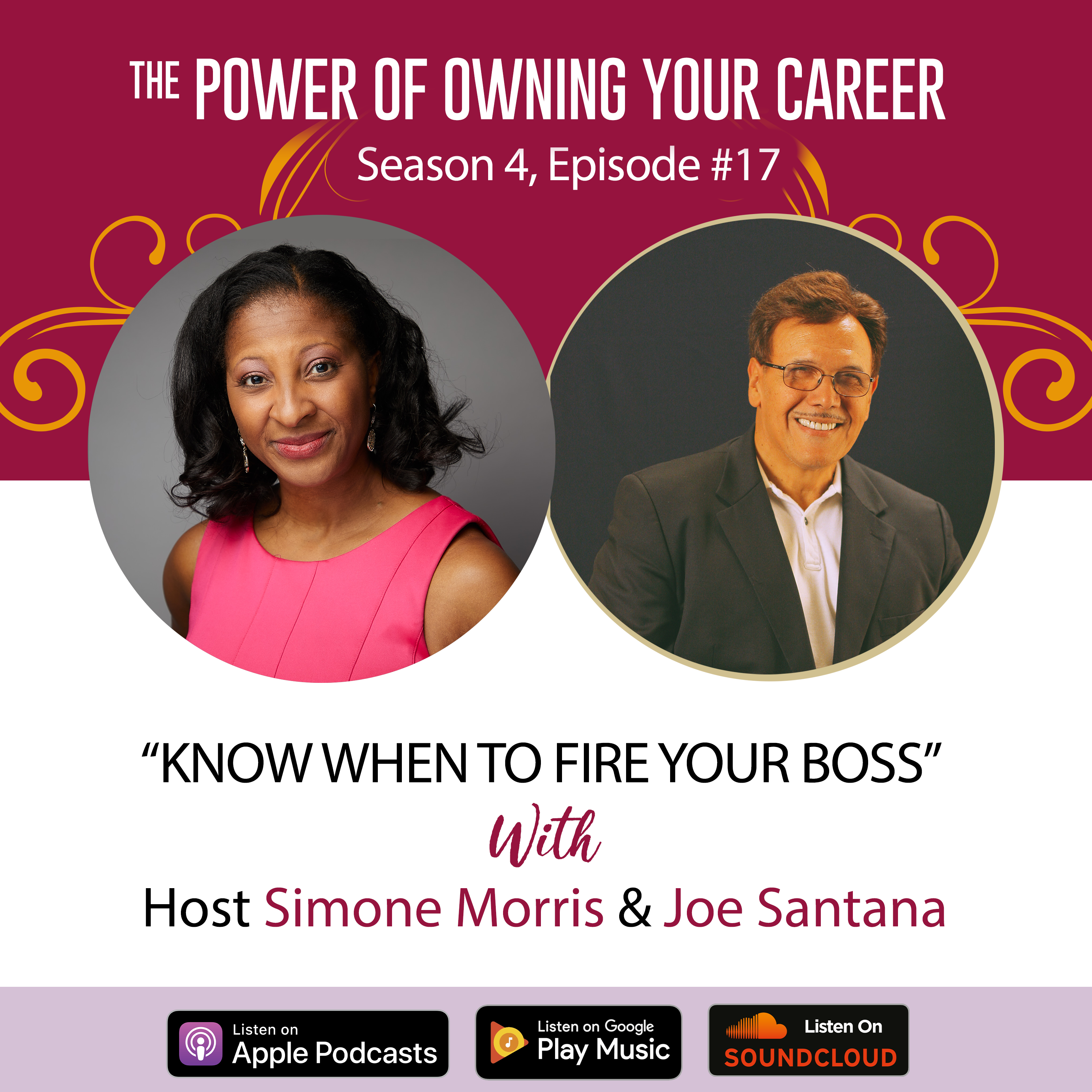 The Power of Owning Your Career Podcast