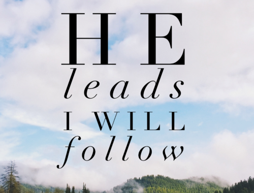 Special Music - One Step He Leads