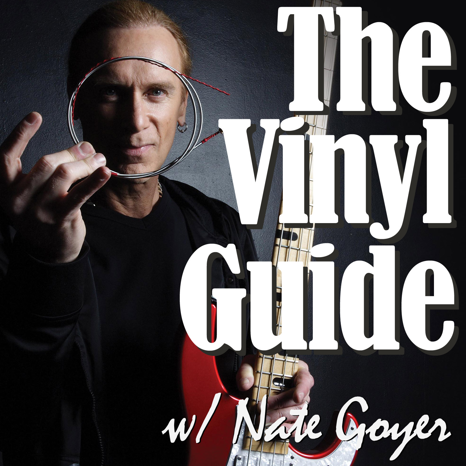 The Vinyl Guide - Artist Interviews for Record Collectors and Music Nerds
