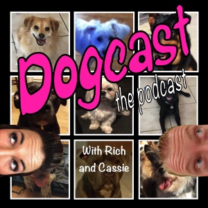 Episode 12 - Why Do Our Dogs Follow Us Everywhere?