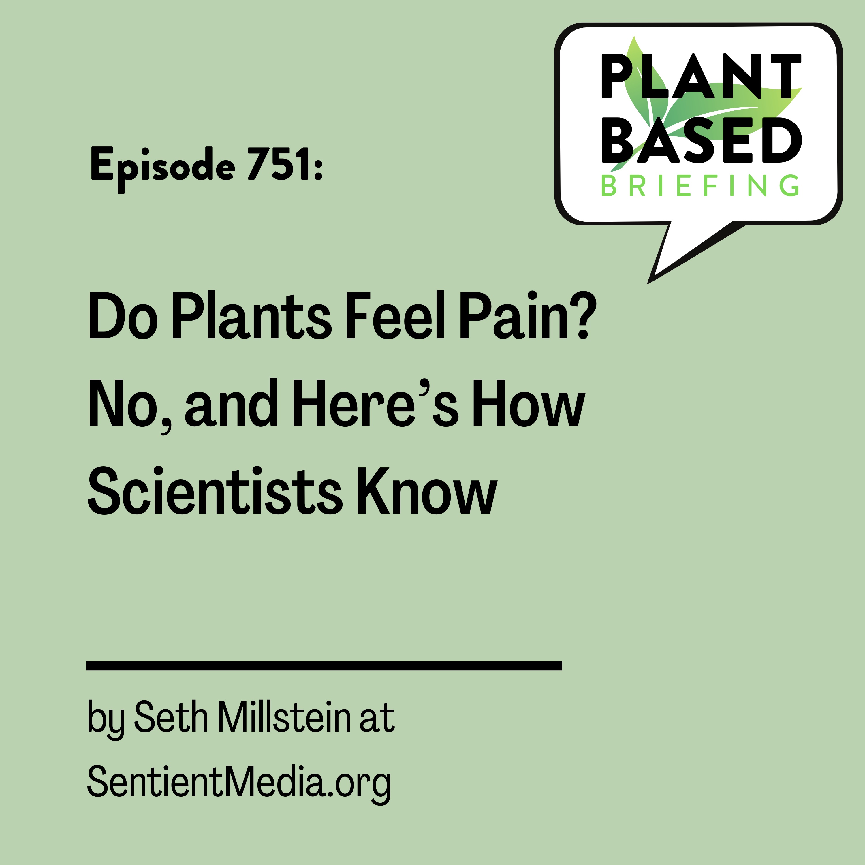 Plant Based Briefing