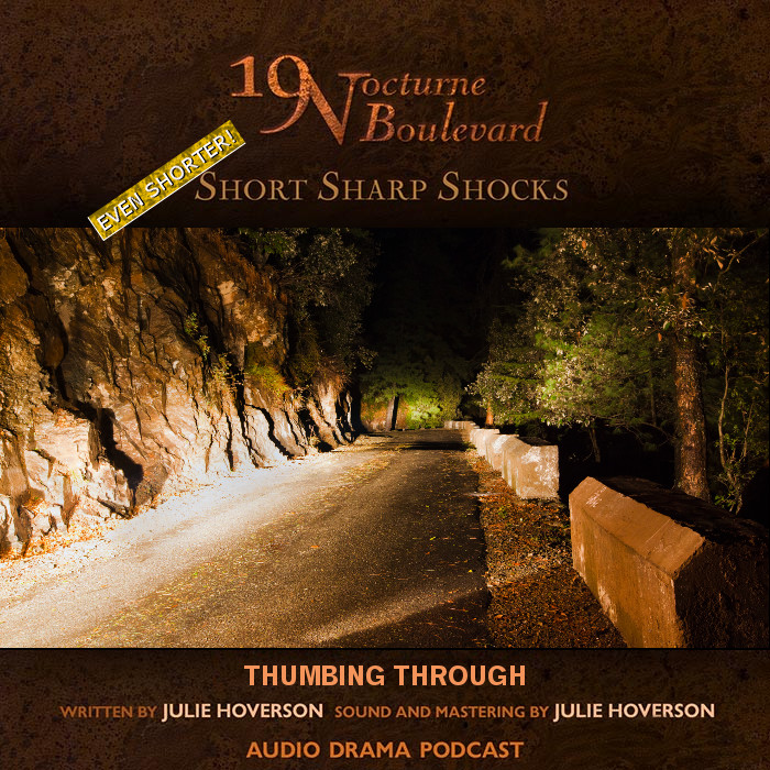 19 Nocturne Boulevard presents  - Thumbing Through