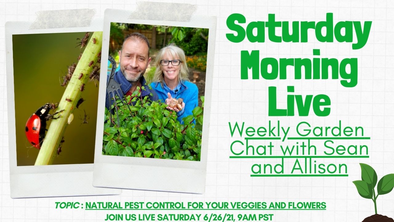 Saturday LIVE YT 6-26-2021 - Natural Garden Pest Control