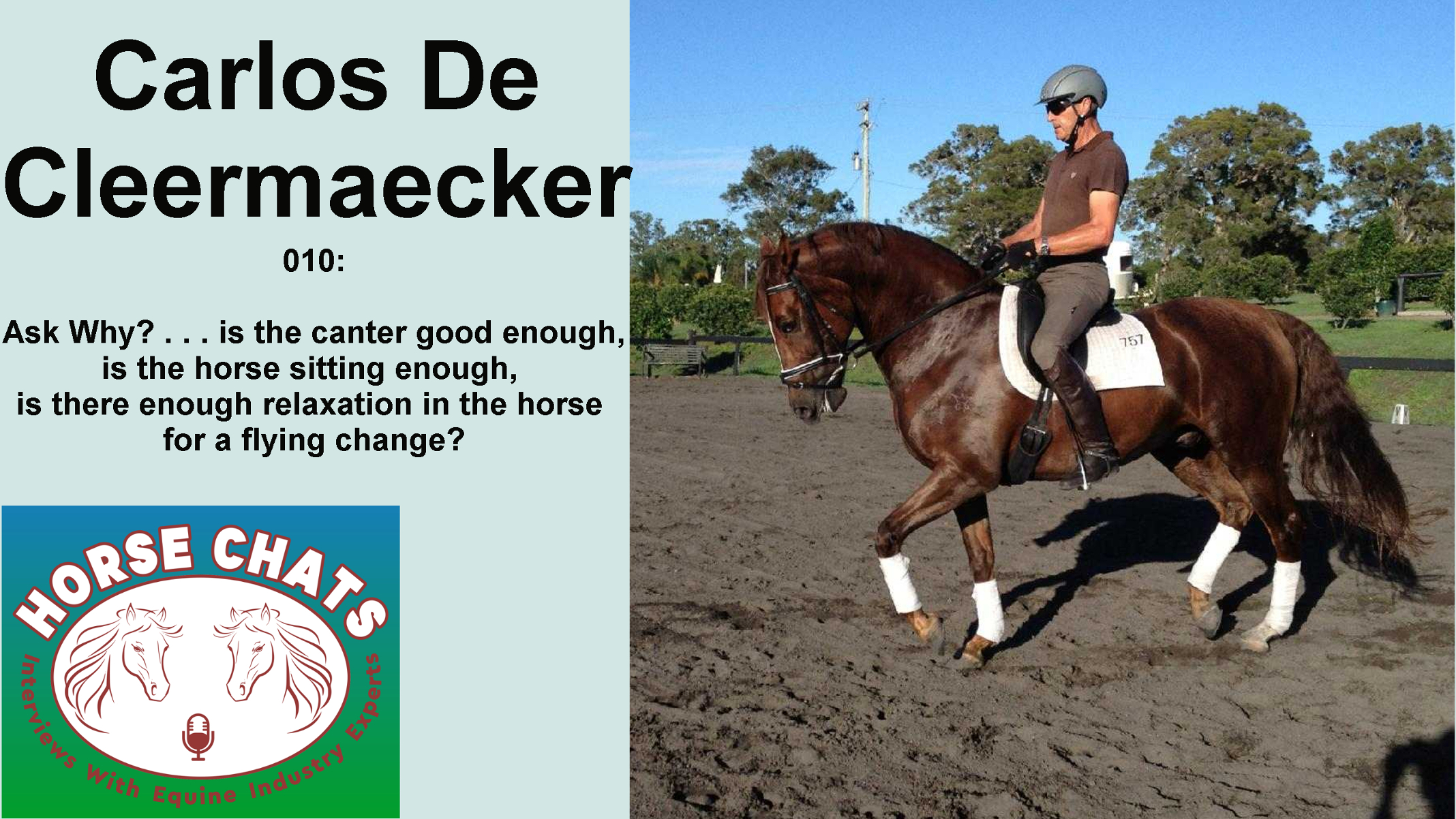 0010: Carlos De Cleermaecker - Ask Why? . . . is the canter good enough, is the horse sitting enough, is there enough relaxation in the horse for a flying change?