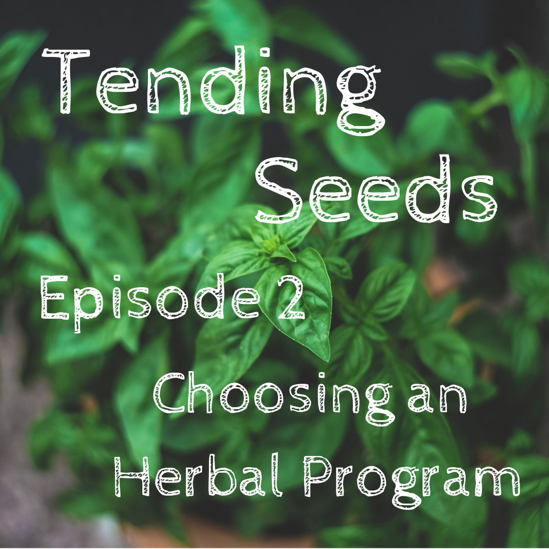 Tending Seeds: Adventures in Gardening, Homesteading, and Herbalism
