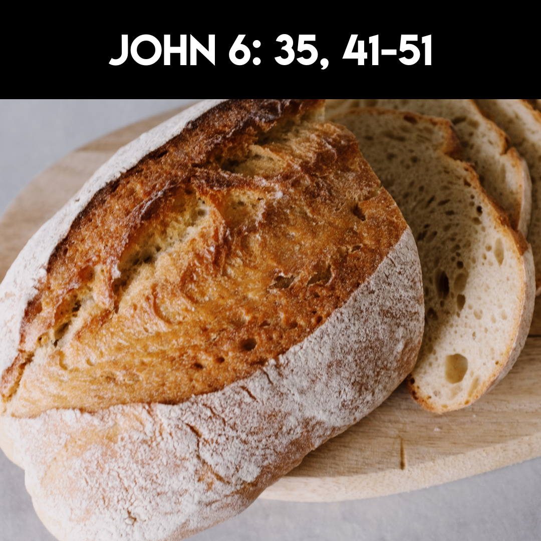 Sermon - 8-11-24