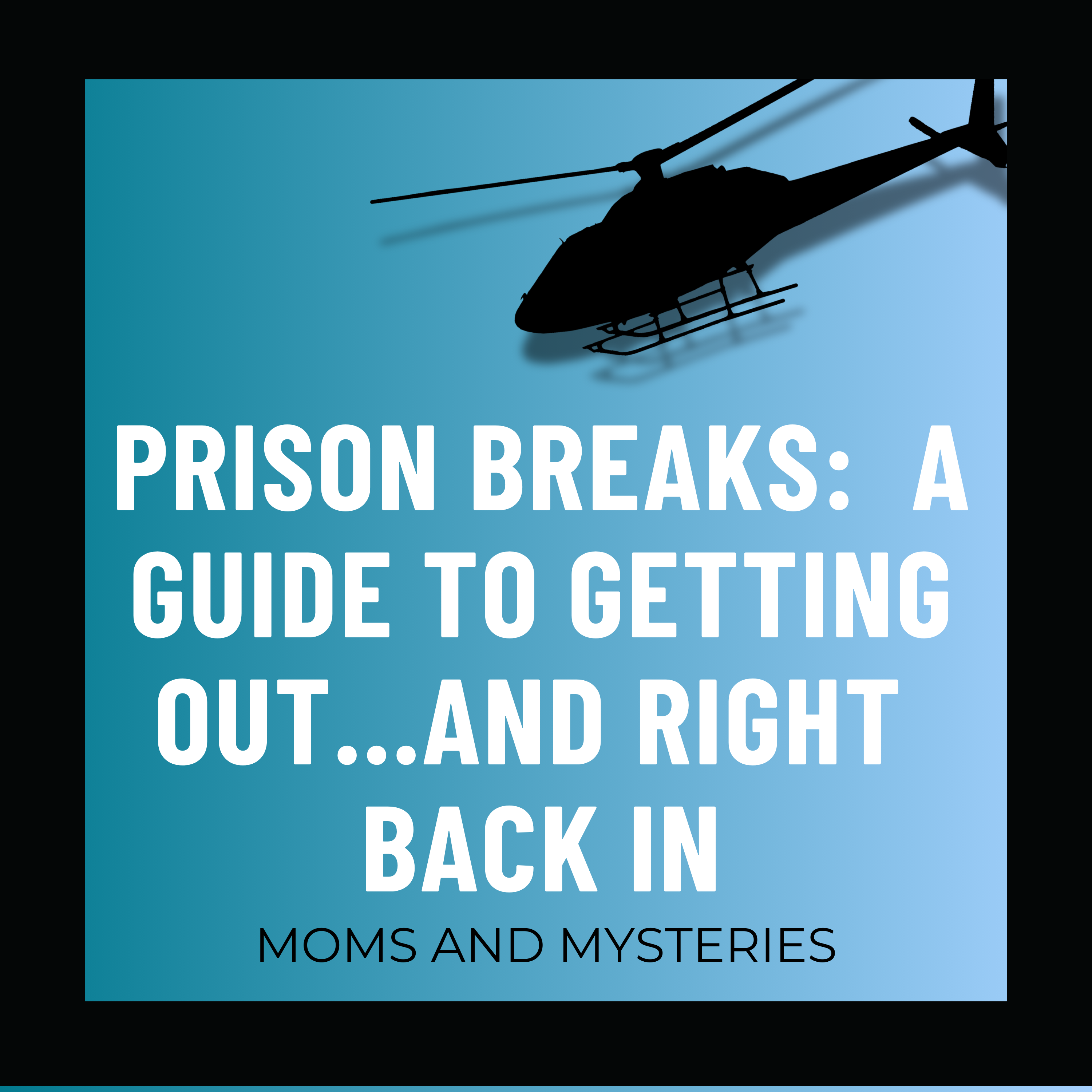 cover of episode Prison Breaks: A Guide to Getting Out...and Going Right Back In