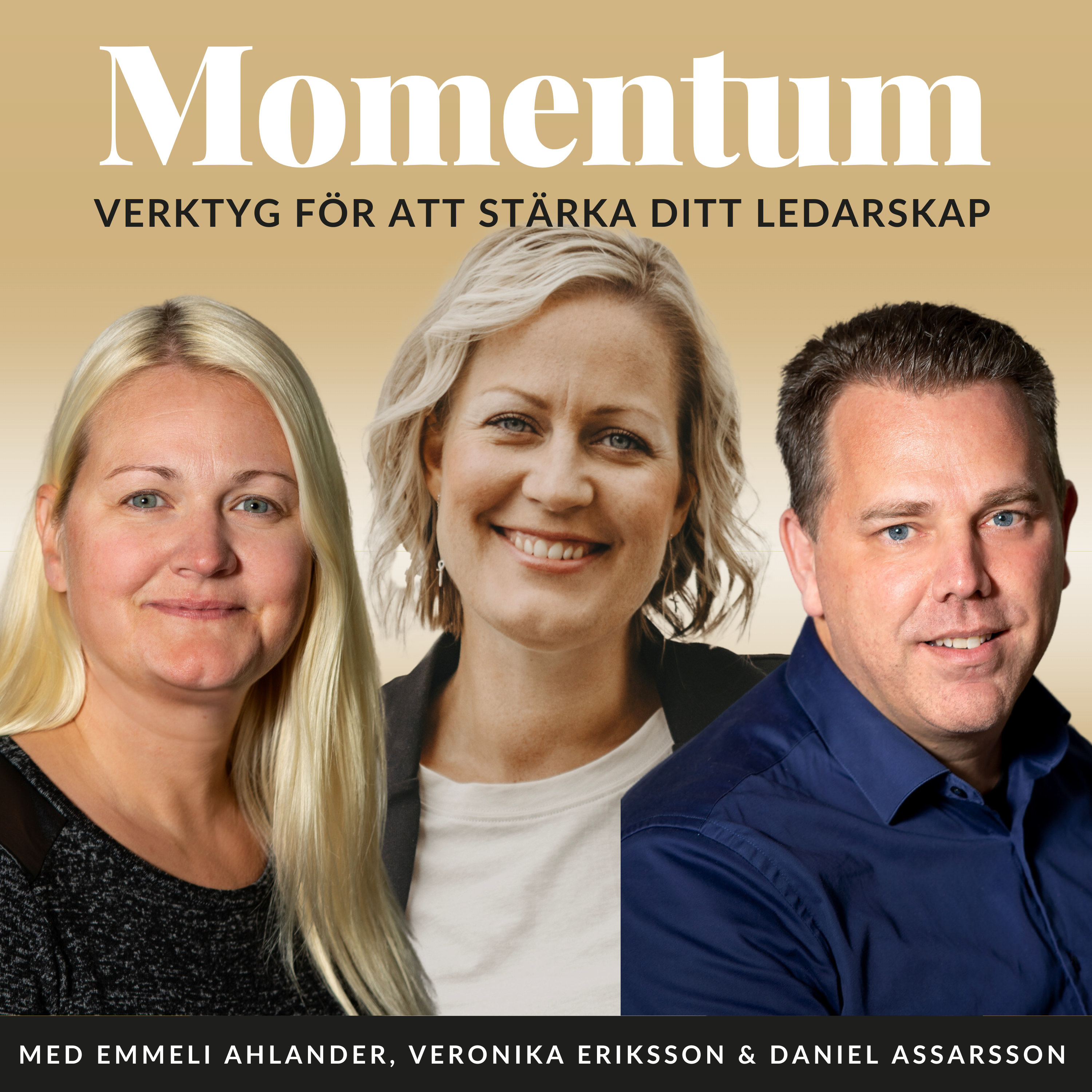 MOMENTUM – vision till verklighet, transformerande ledarskap och frihetsföretagande