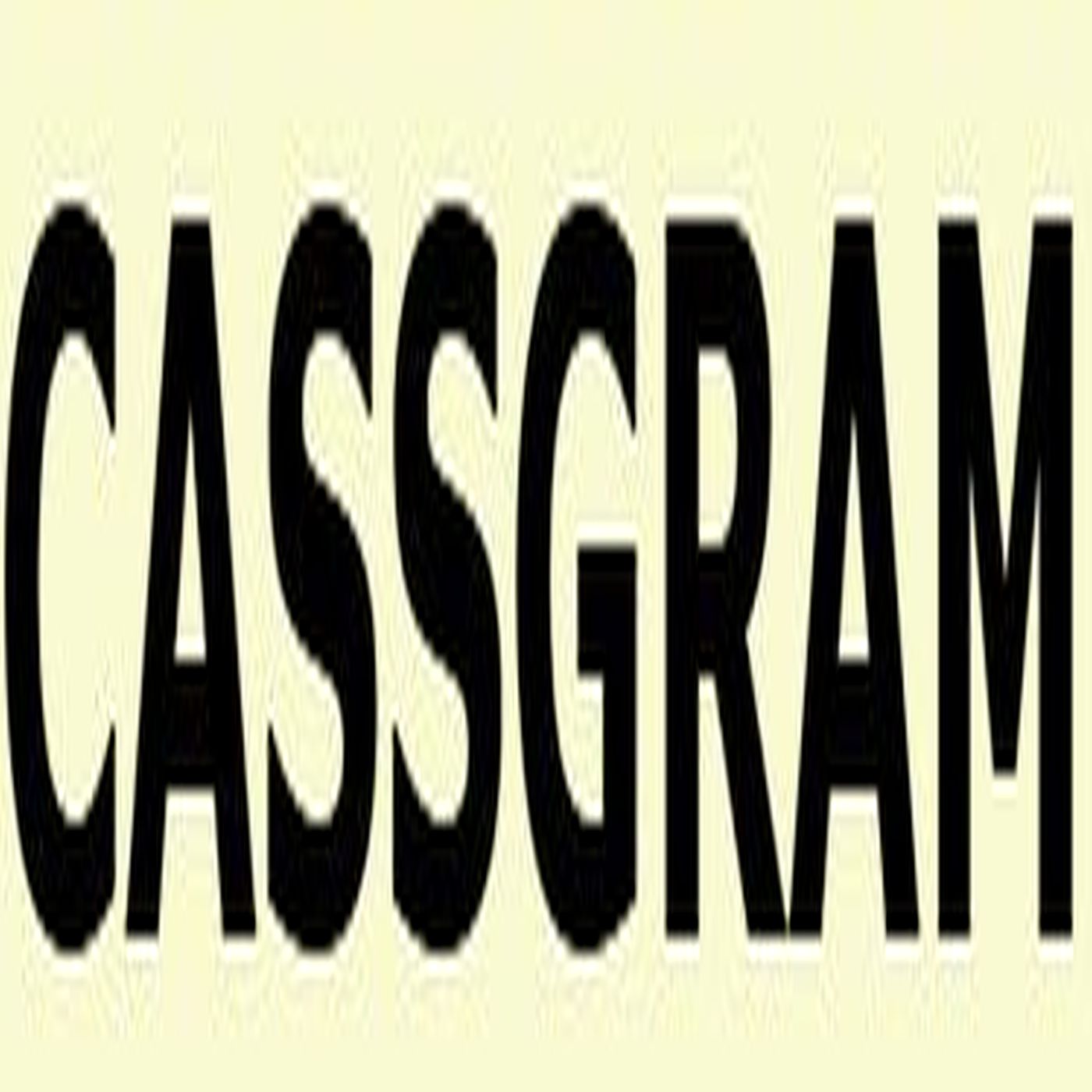 Cassgram Audio Report