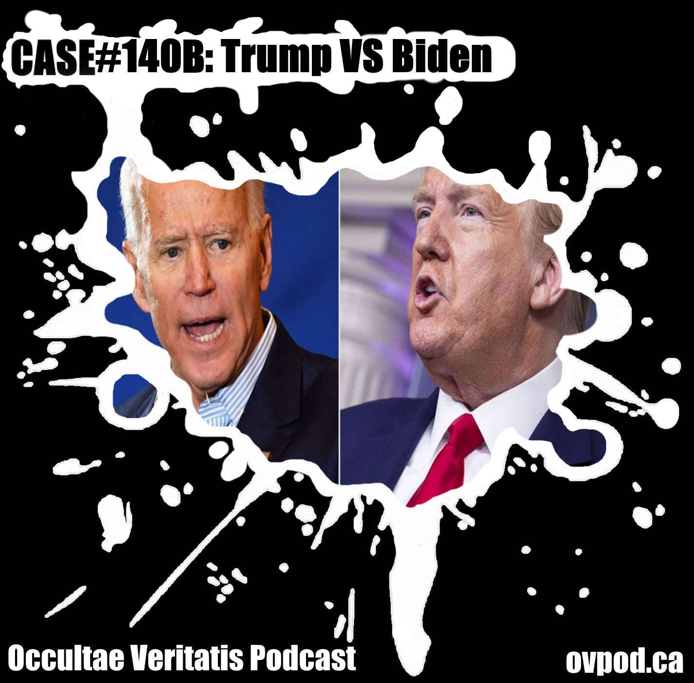 Case #140b: Trump VS Biden