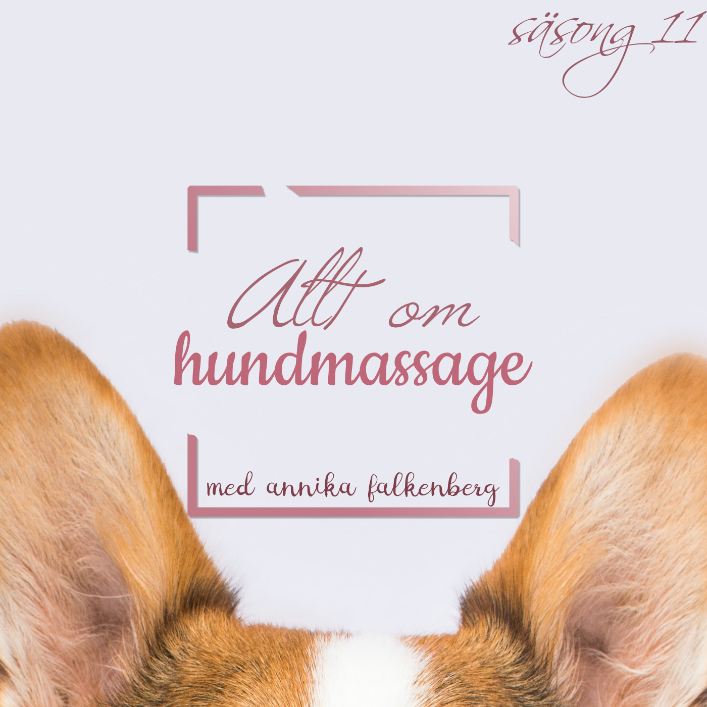 Hundpodden Vår Bästa Vän