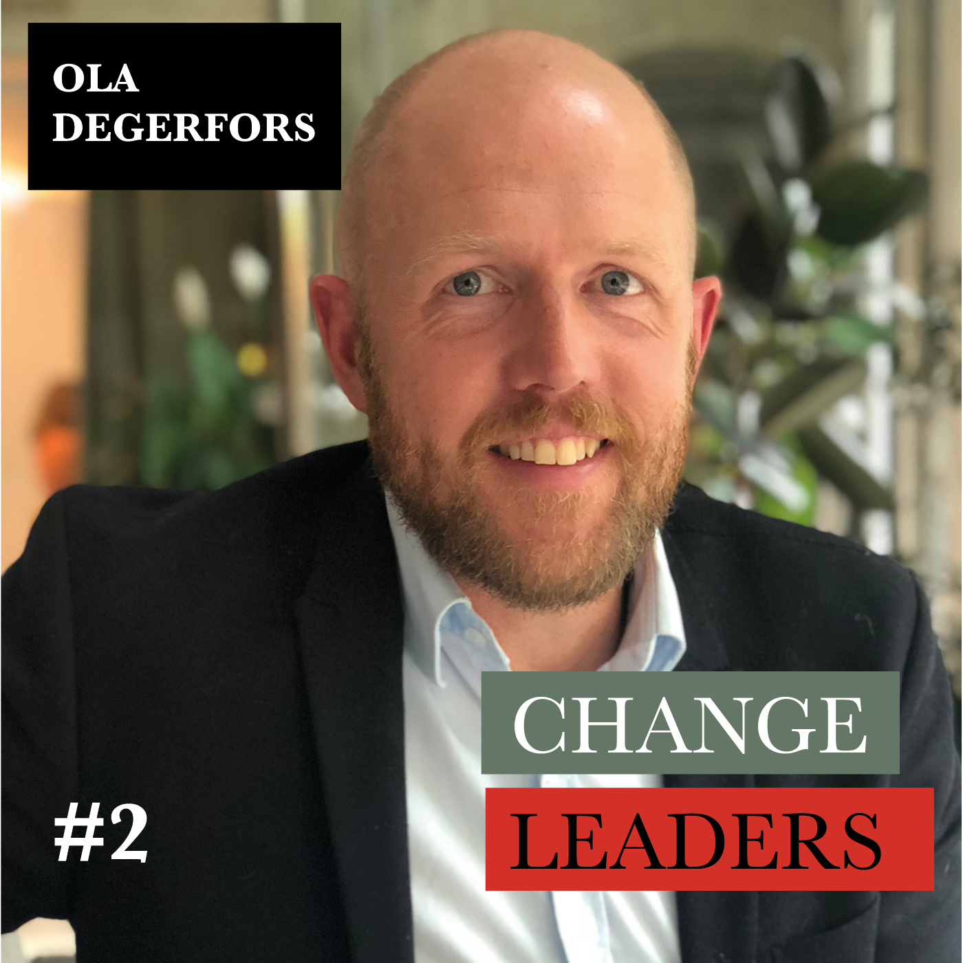 Change Leaders