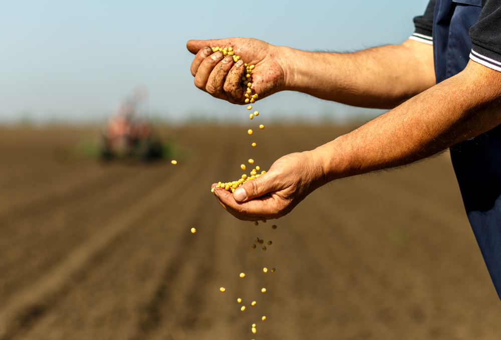 RaboResearch Agri Commodities