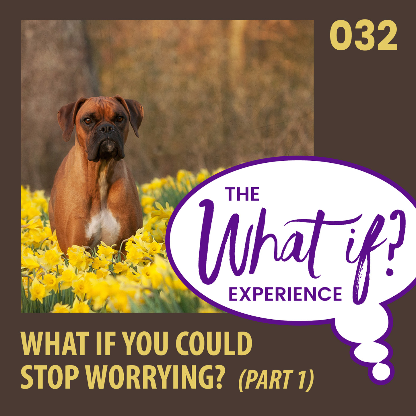 The What If Experience