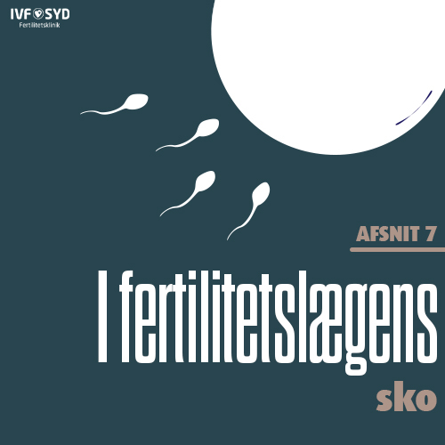 I fertilitetslægens sko