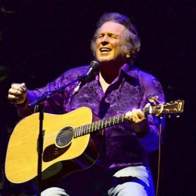 Don McLean - American Pie