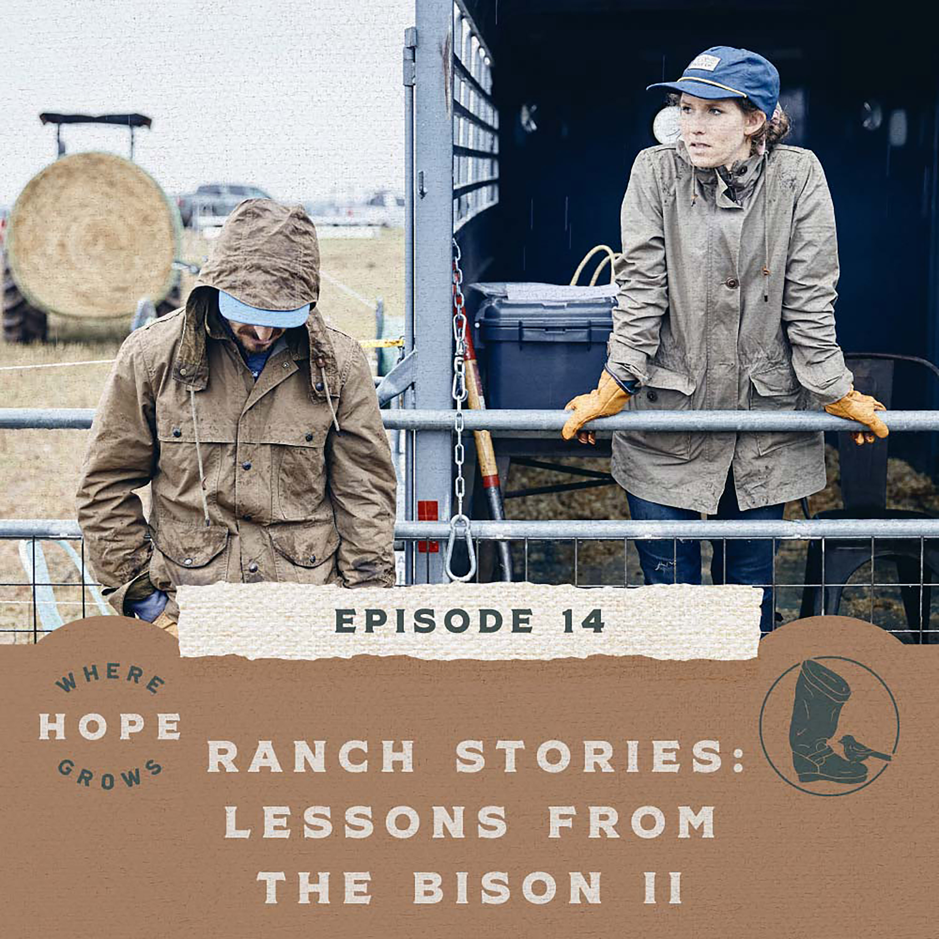 Ranch Stories: Lessons From The Bison II