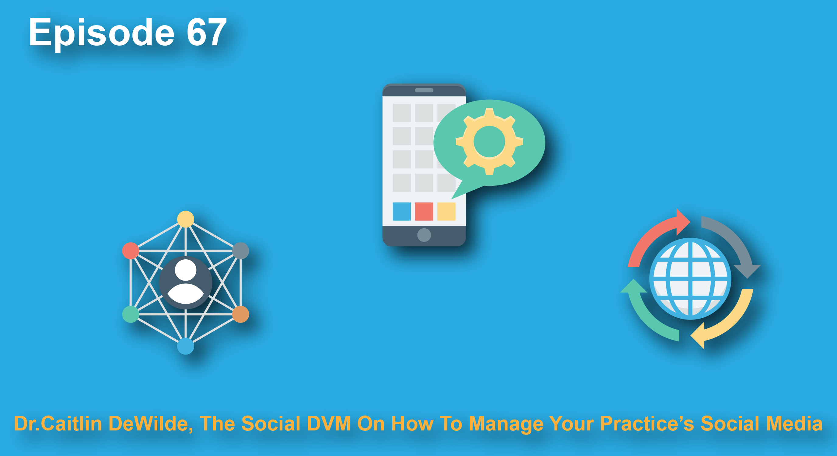 The Veterinary Marketing Podcast