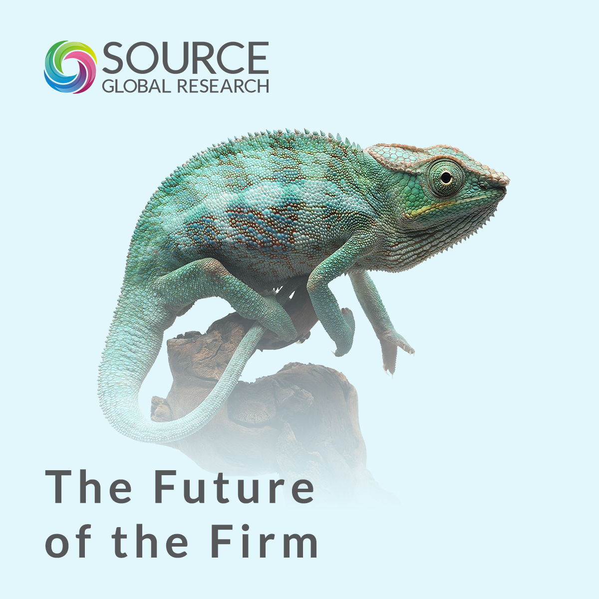 The Future of the Firm