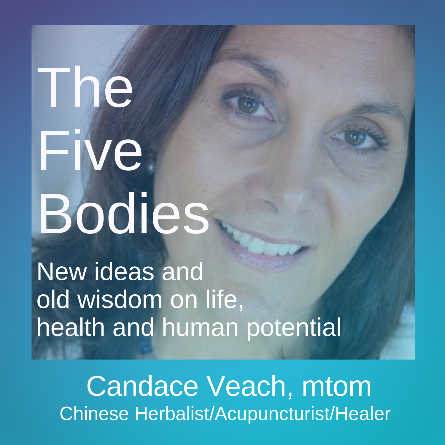 You Have Five Bodies, Not One.