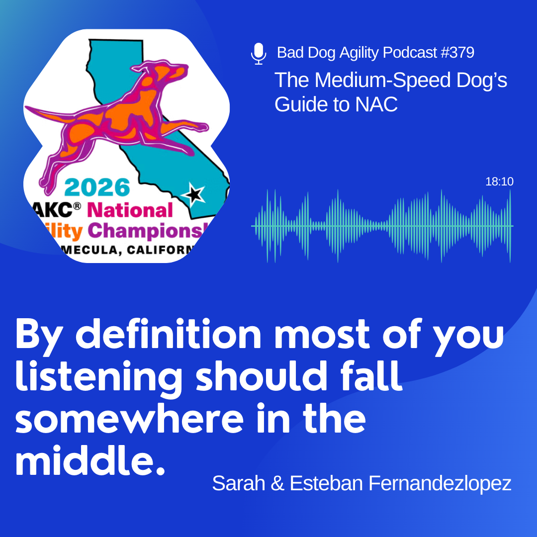 379: The Medium-Speed Dog's Guide to NAC