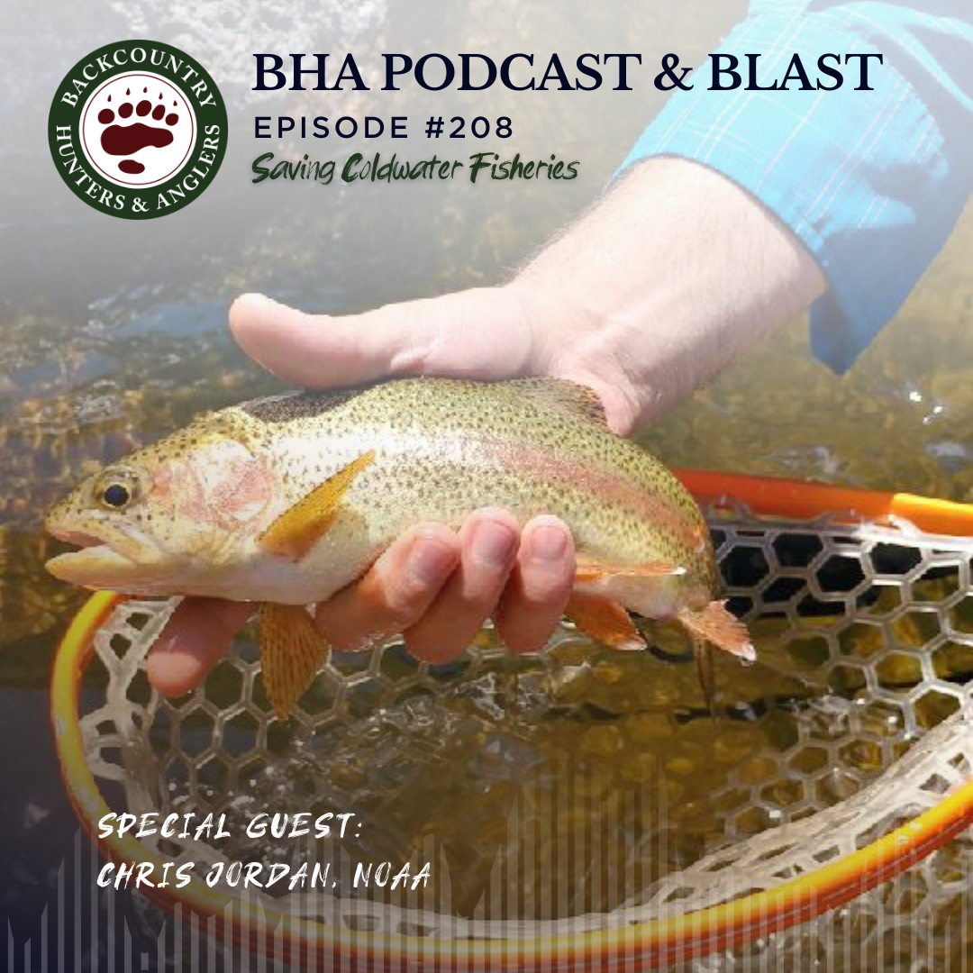 cover of episode Saving Coldwater Fisheries with Chris Jordan, National Oceanic and Atmospheric Administration (NOAA), Northwest Fisheries Science Center