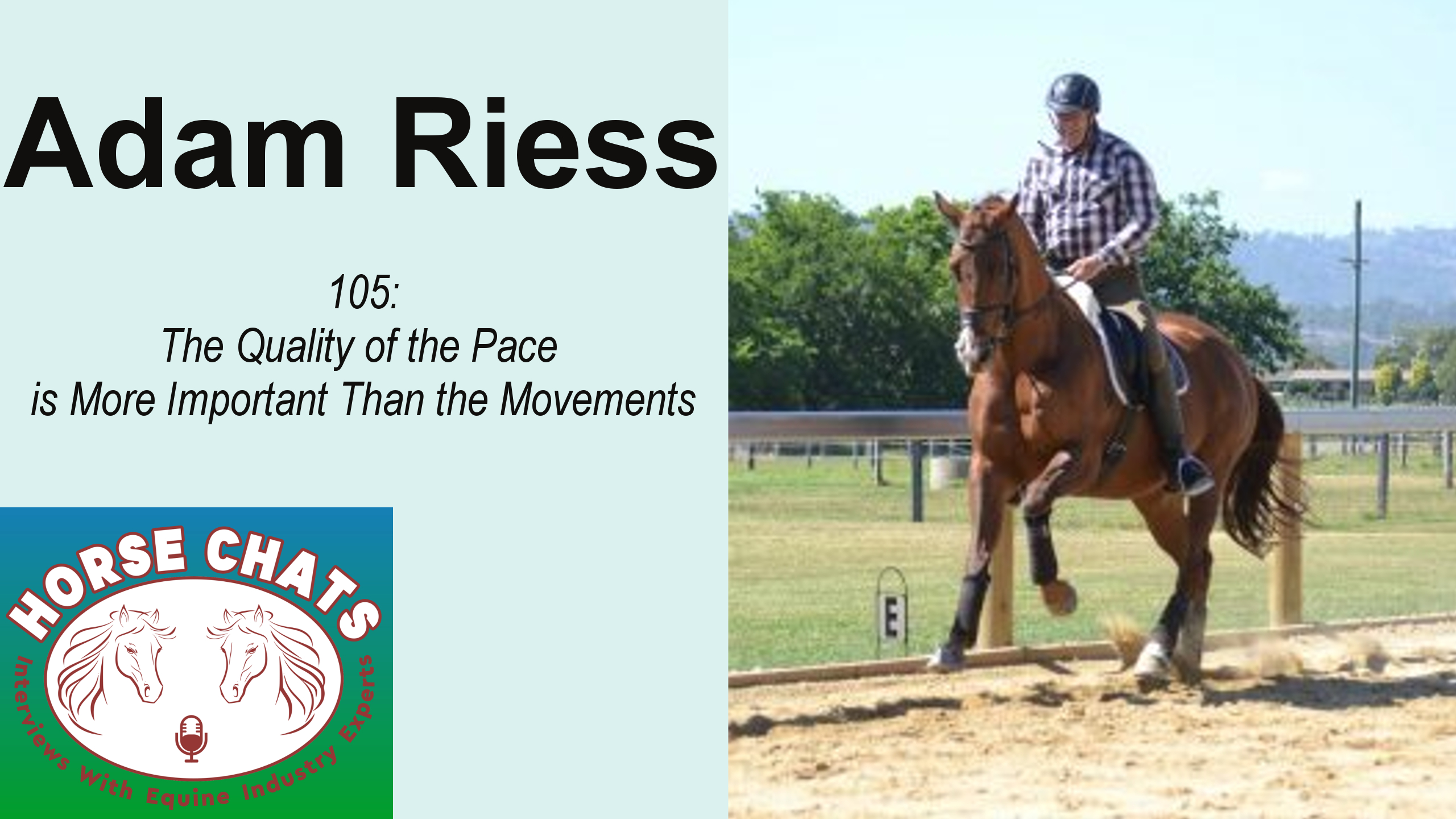 0105: Adam Riess - The Quality of the Pace is More Important Than the Movements