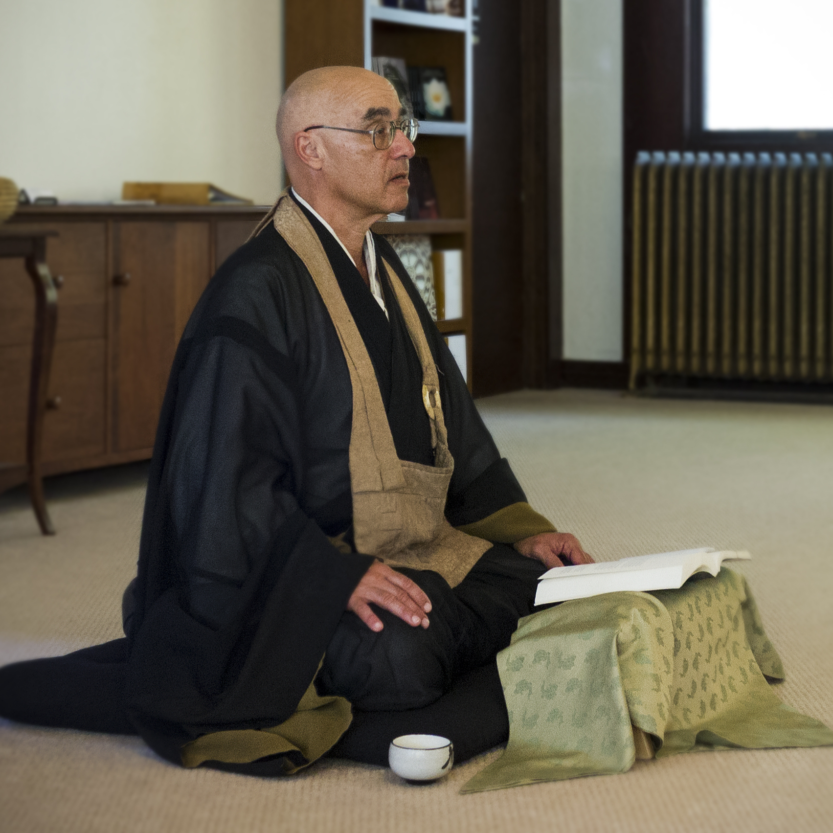 The No-Rank Zendo Podcast