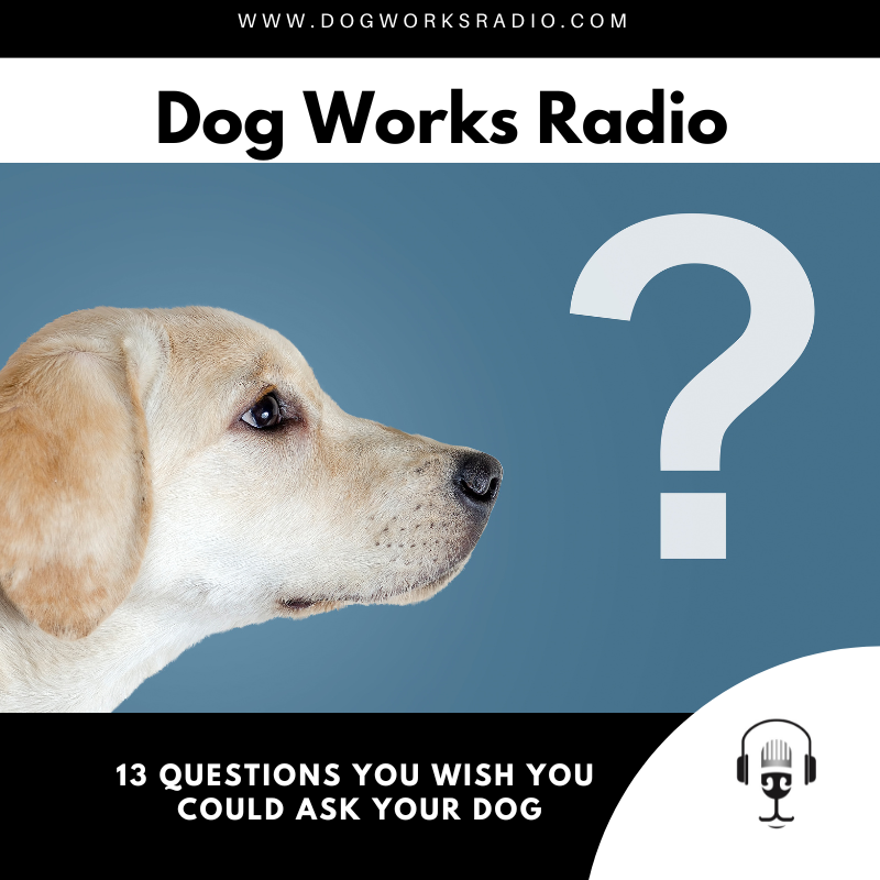 Dog Works Radio
