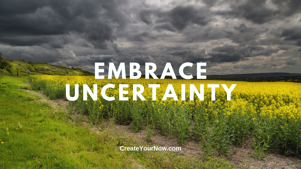 3696 Embrace Uncertainty