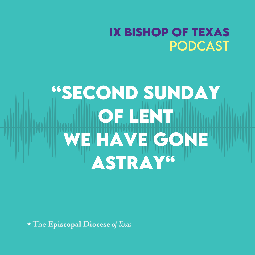 Ninth Bishop of Texas