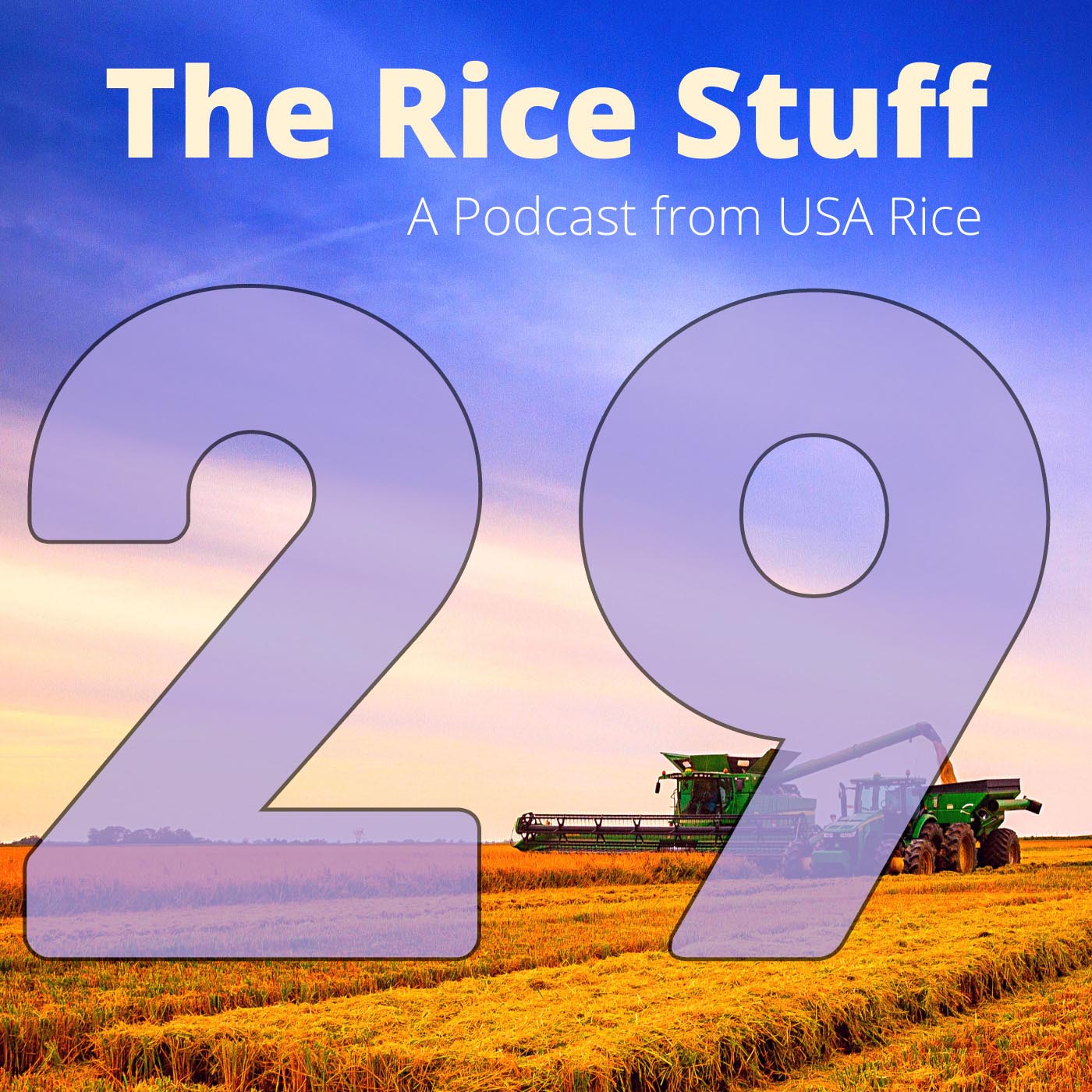 The Rice Stuff