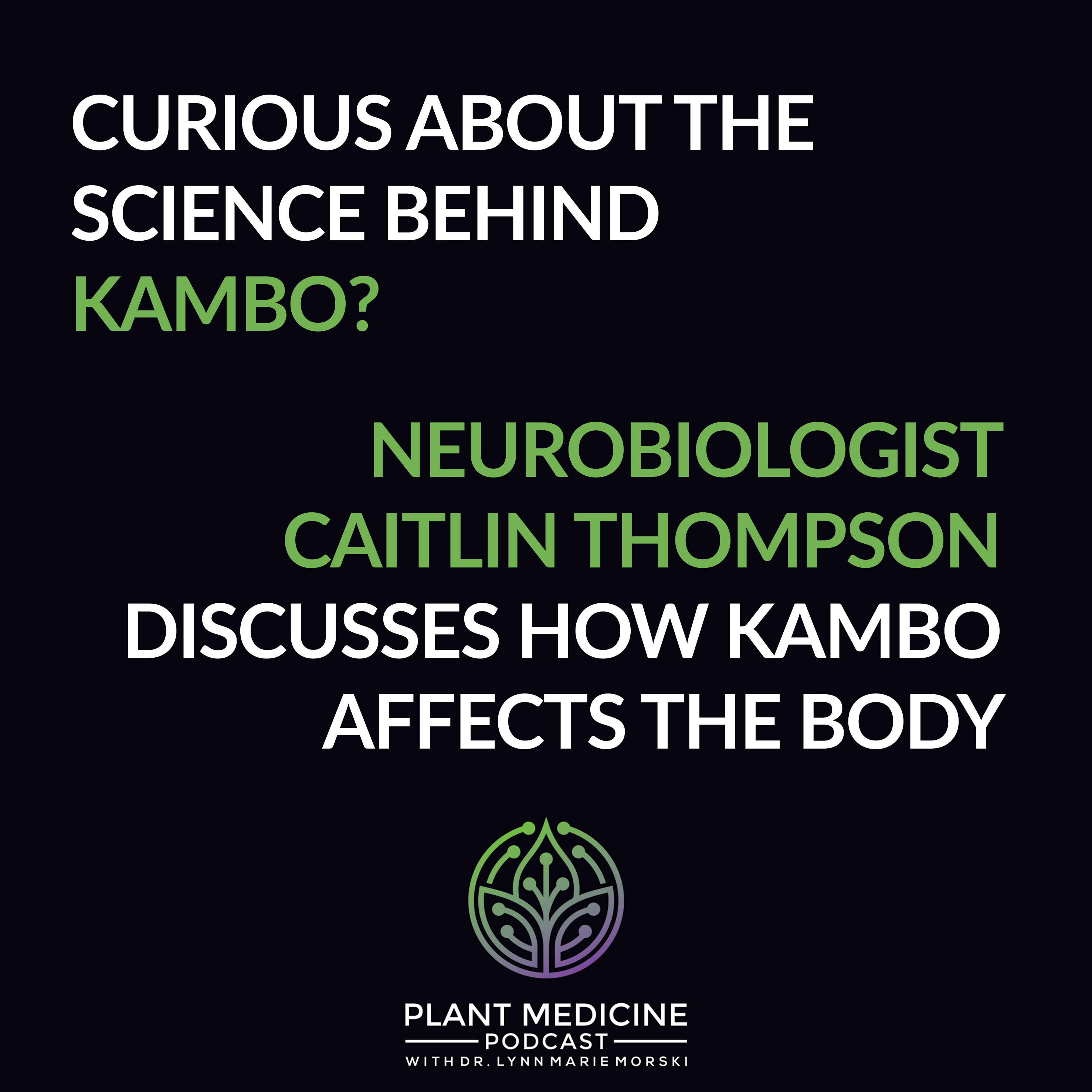 Psychedelic Medicine Podcast with Dr. Lynn Marie Morski