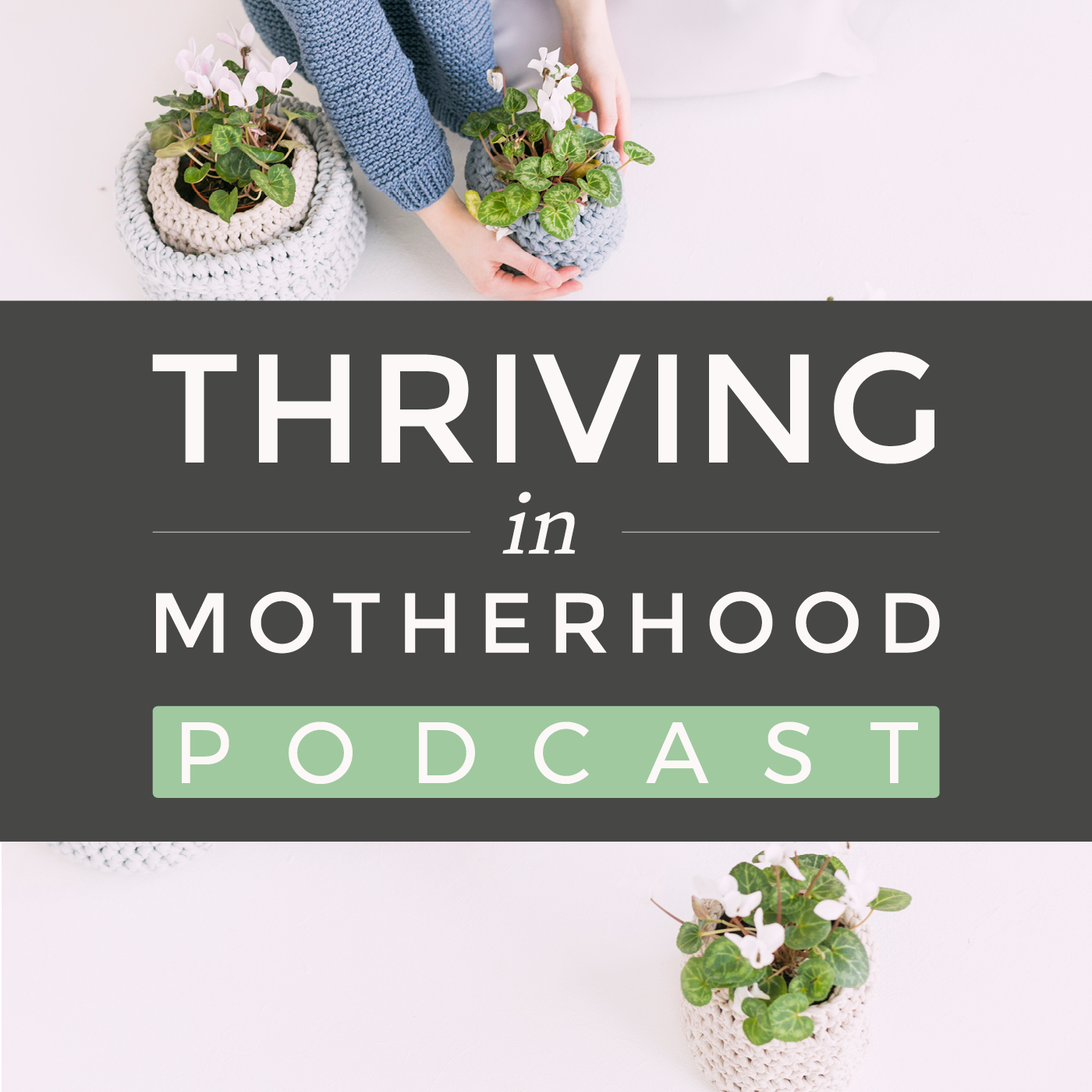 Thriving In Motherhood Podcast | Productivity, Planning, Family Systems, Time Management, Survival Mode, Mental Health, Vision