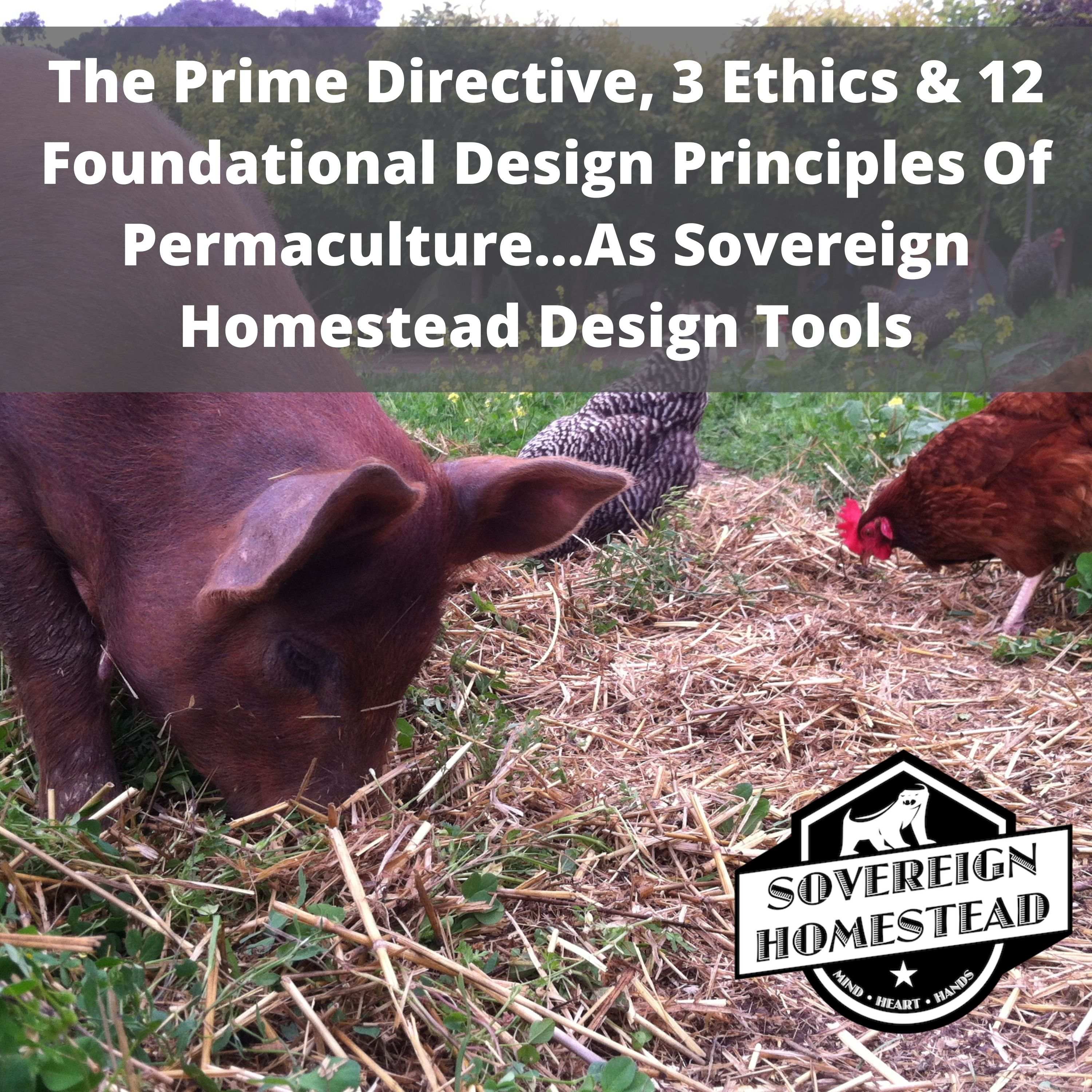 The Sovereign Homestead Podcast