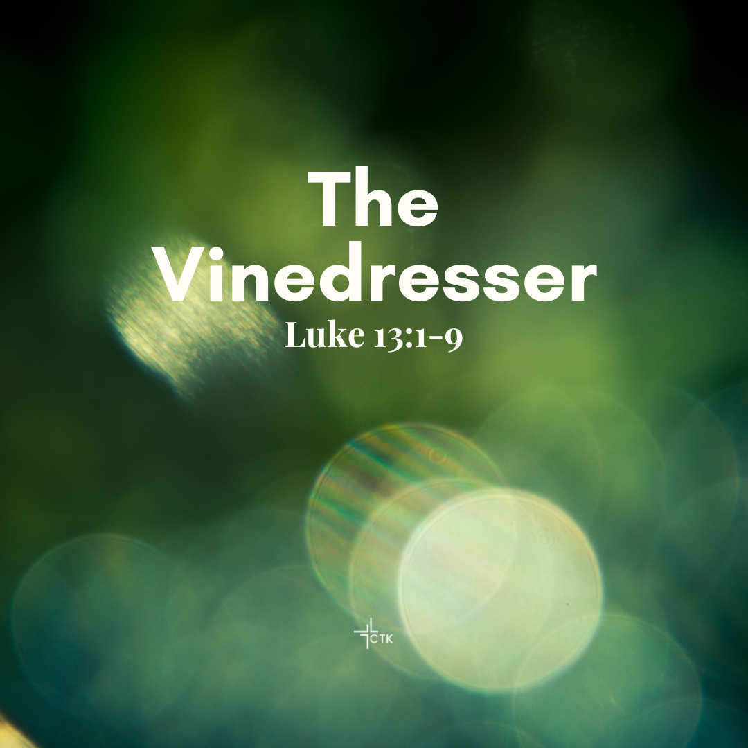 The Vinedresser
