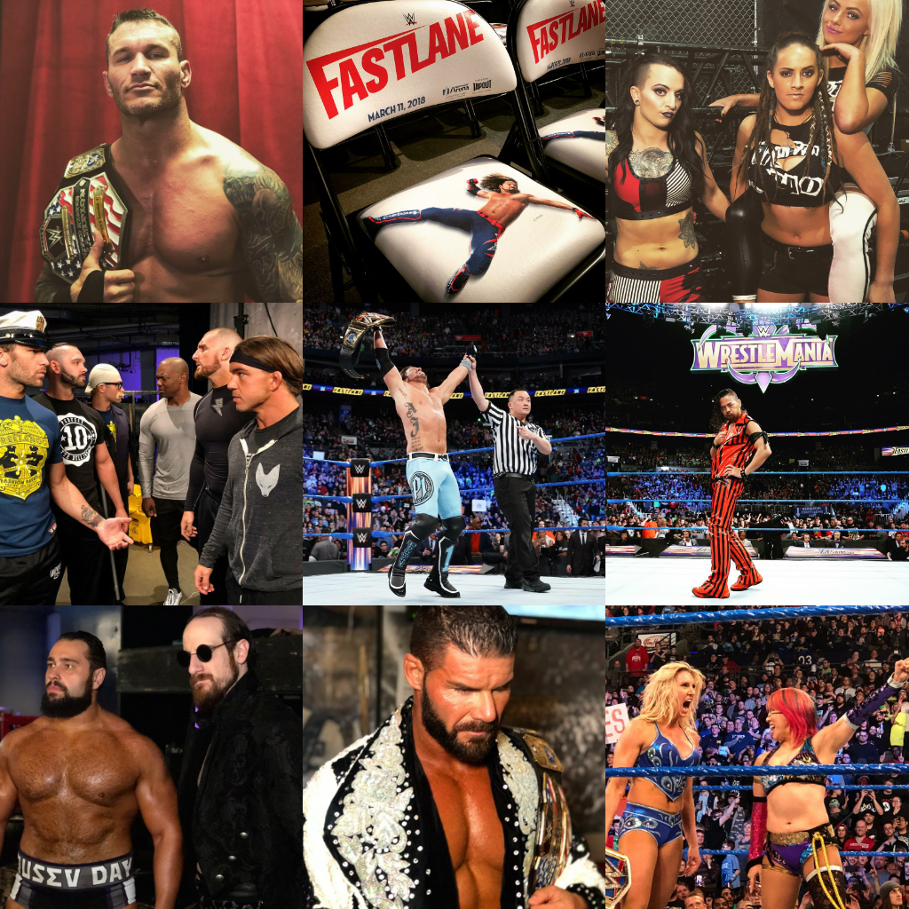 Wrestlecorner Fast;ane 2018