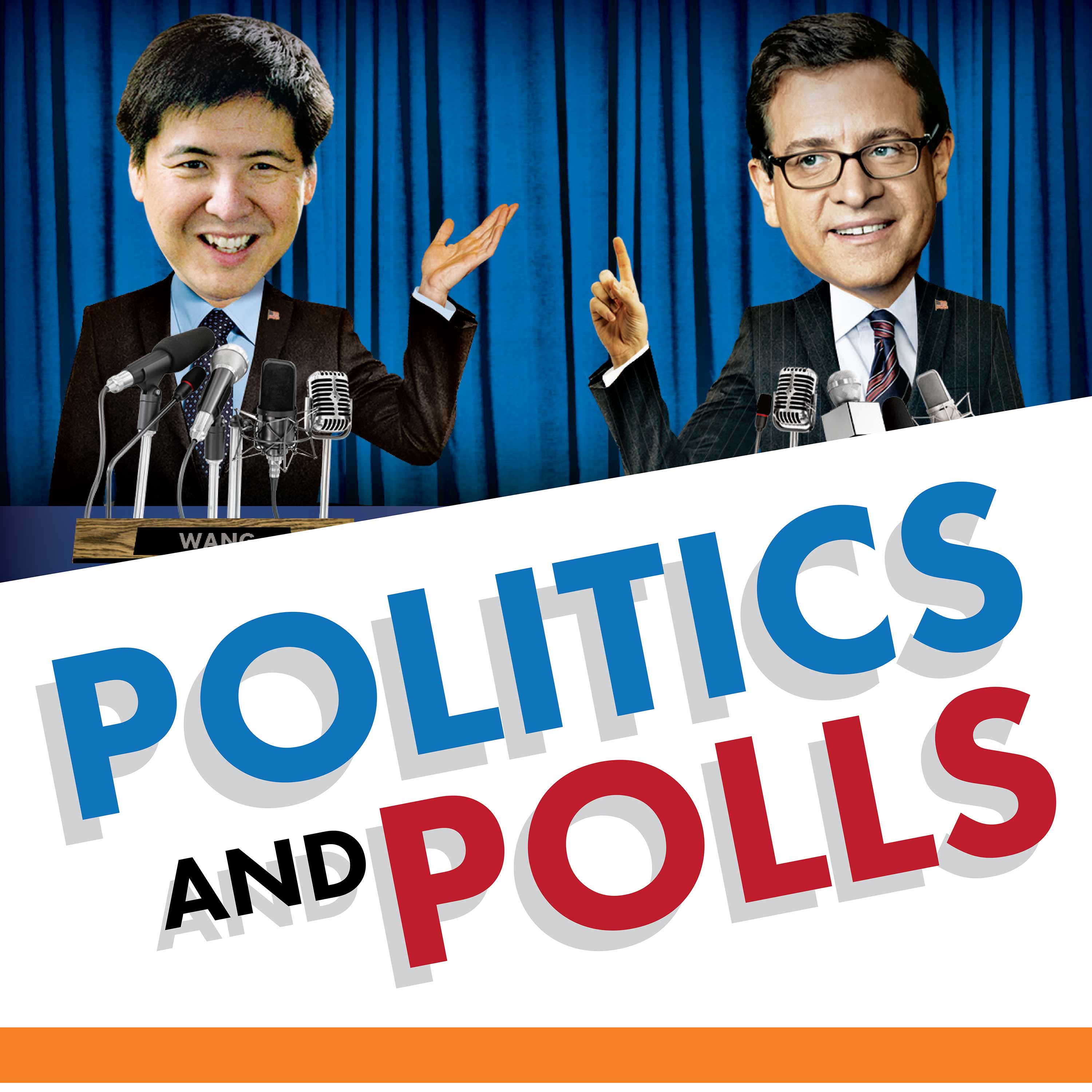 Politics and Polls