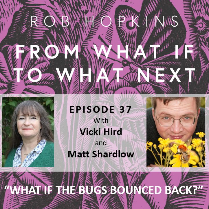 37 - What if the Bugs Bounced Back?