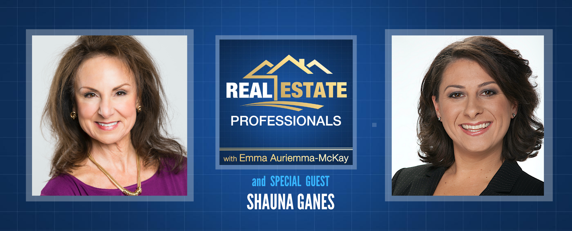 Real Estate Professionals - Property Sales Tactics for Realtors