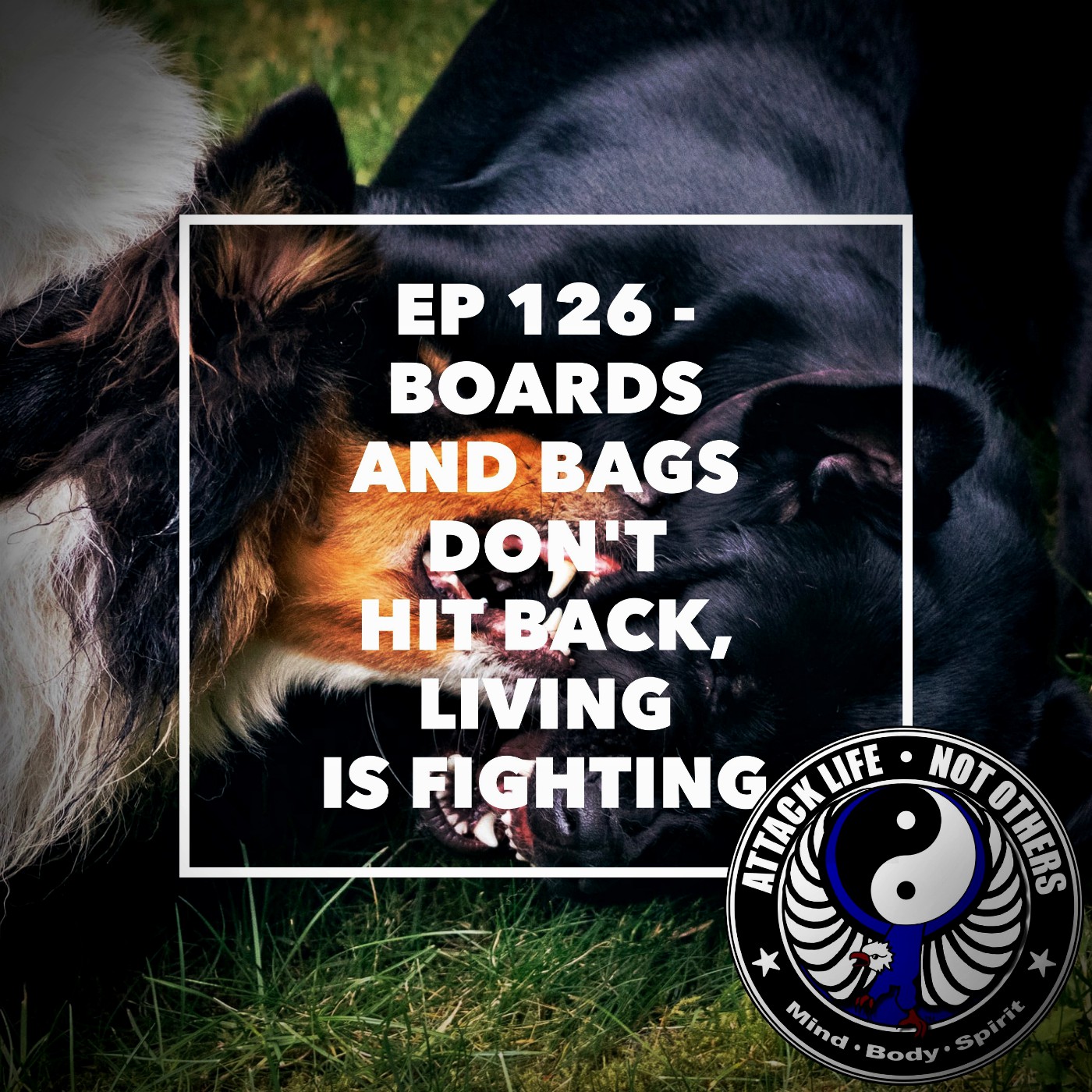 Ep 126 - Boards and Bags Don't Hit Back, Living is Fighting