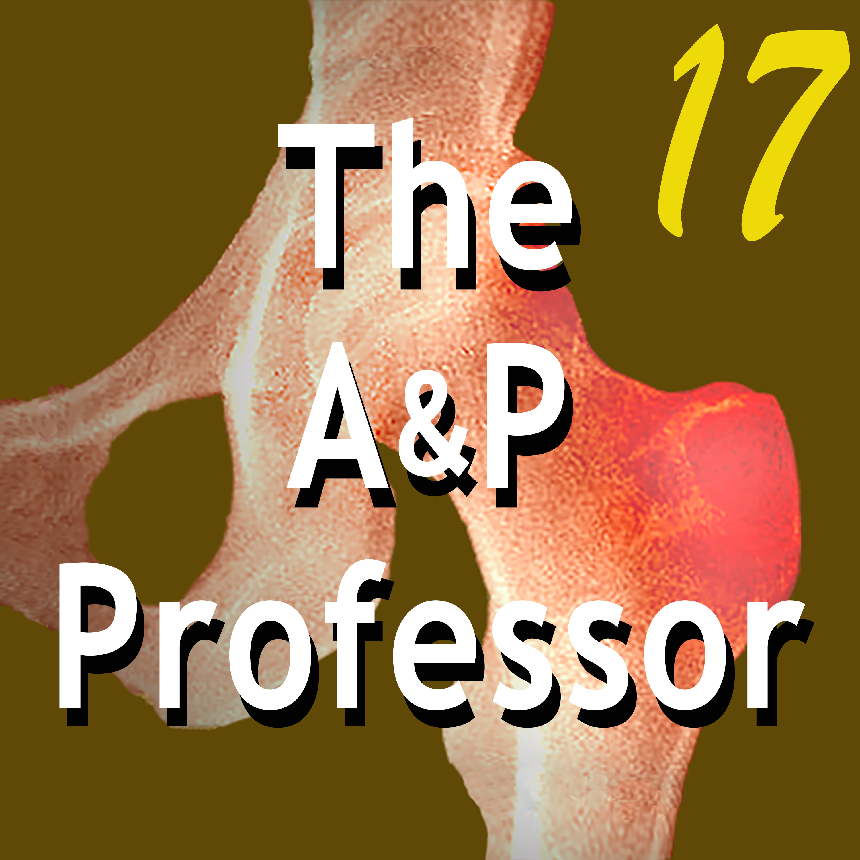 End-of-Term Reviews Help Keep Your Course on Track | TAPP Episode 17