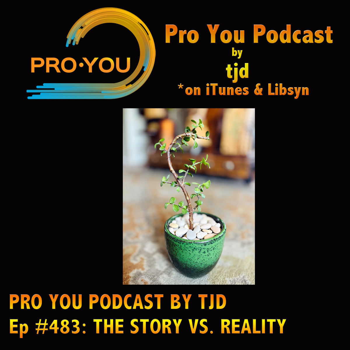 #483 The Story Vs. Reality