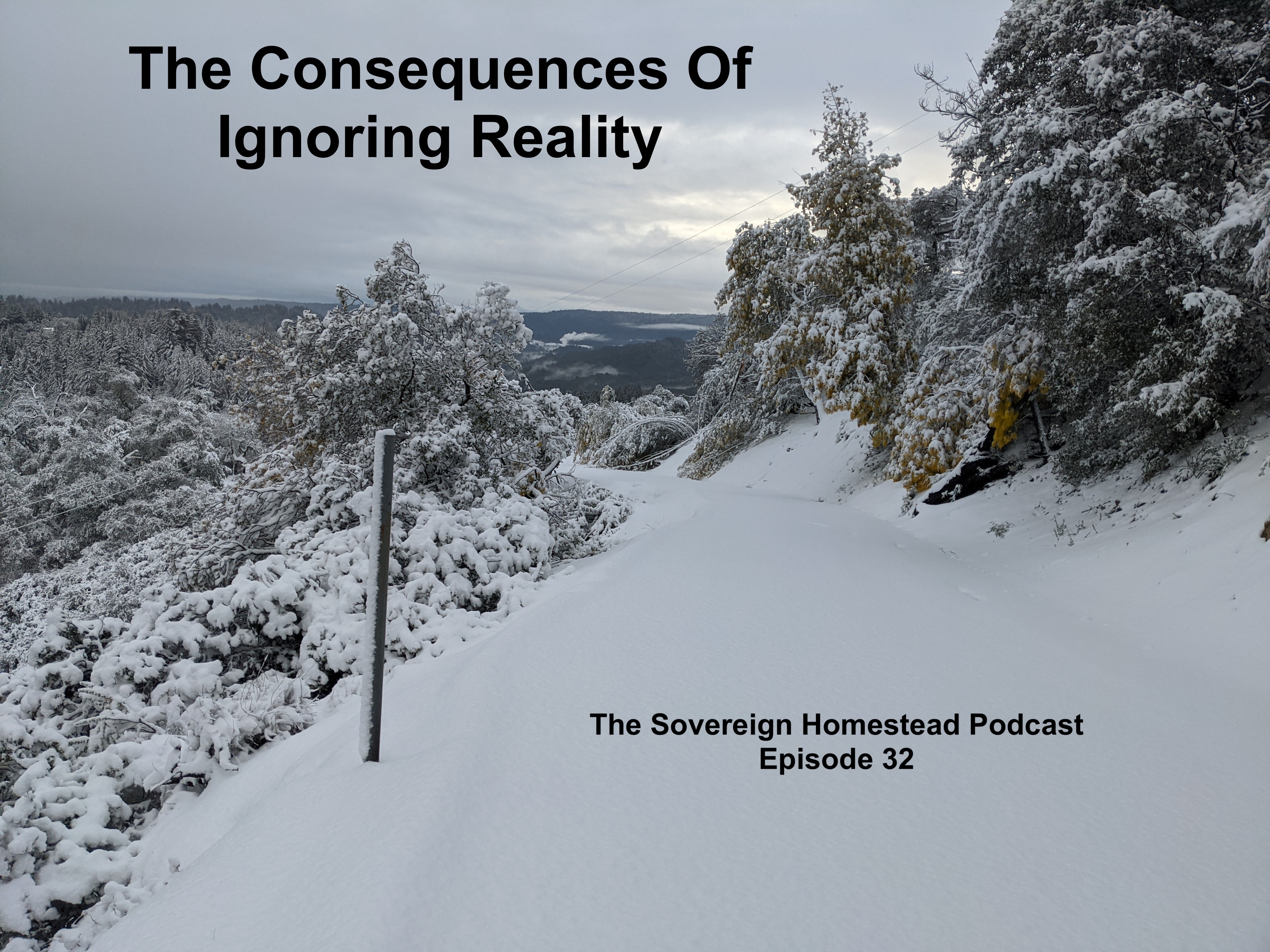 The Sovereign Homestead Podcast