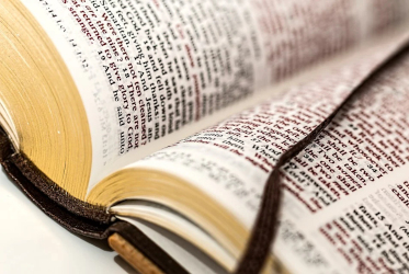 The Beginning of Faith